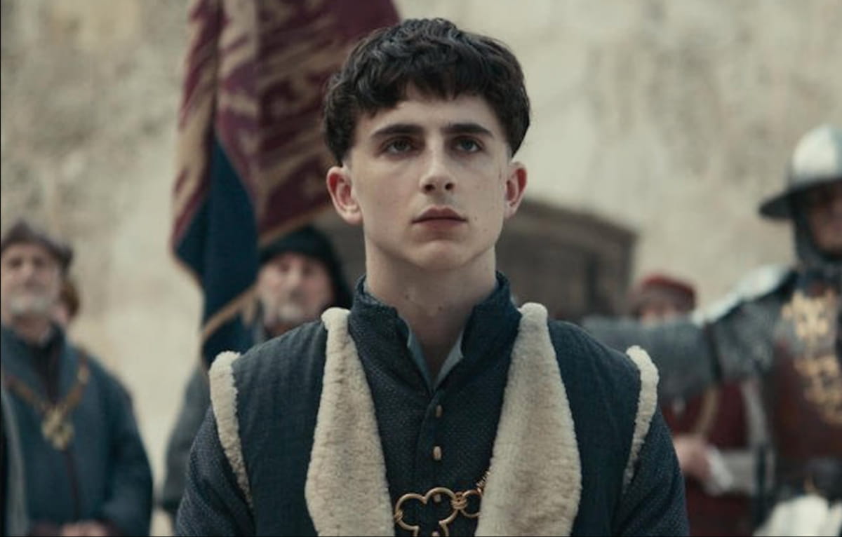 Alle Filme mit Timothée Chalamet: vom besten zum schlechtesten