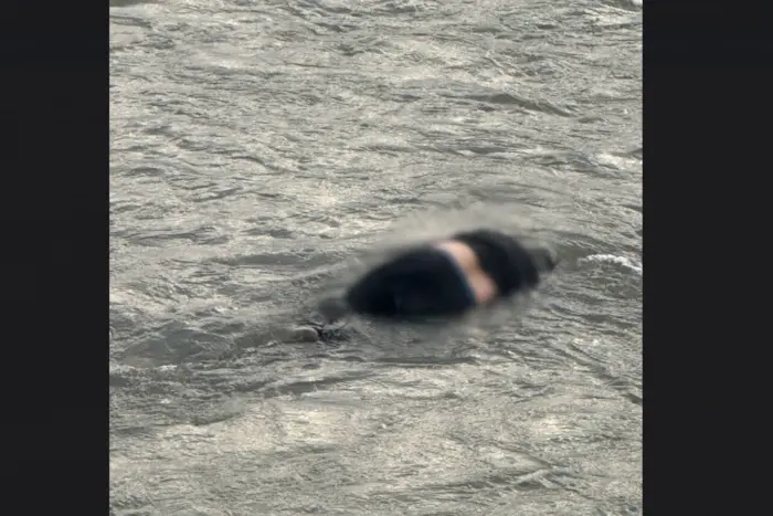Grenzschützer entdeckten einen ertrunkenen Mann in der Tisza