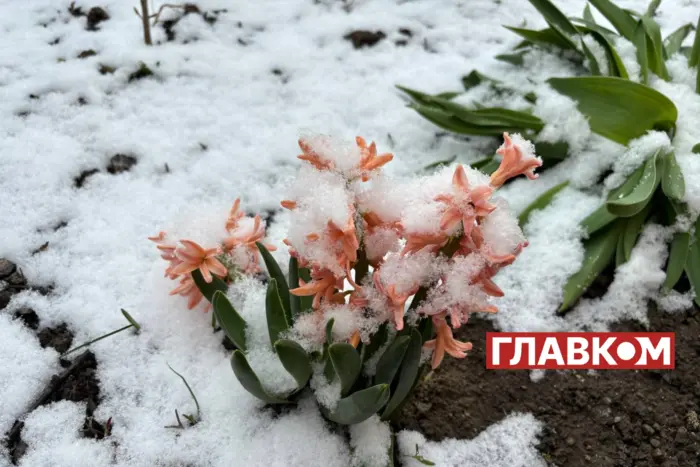 Постоянный снегопад в Украине апрель 2021