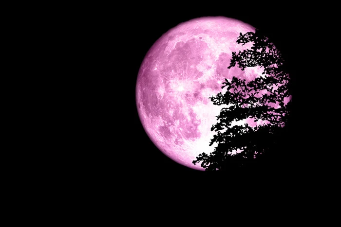 Über der Ukraine wird der 'Rosa Mond' aufgehen: Wann man dieses einzigartige Phänomen beobachten kann