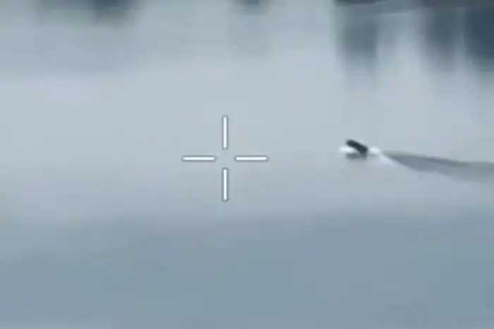 Die Streitkräfte haben ein Boot mit russischem Landungsteam zerstört (Video)