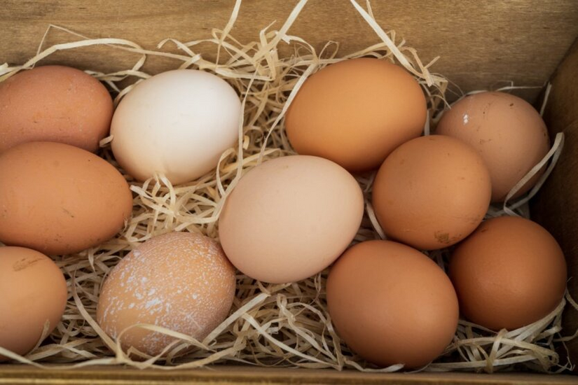 Prices for eggs in supermarkets and markets in Kyiv and Odesa