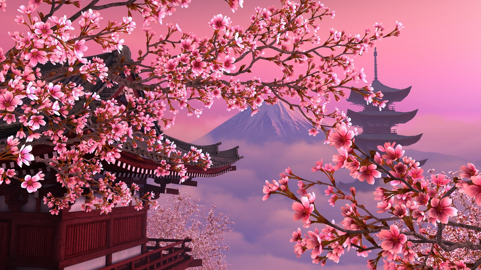 Wen sucht man in Japan?