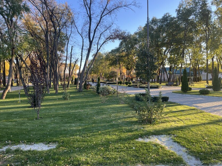 Мороз, снег, гололед и ветер